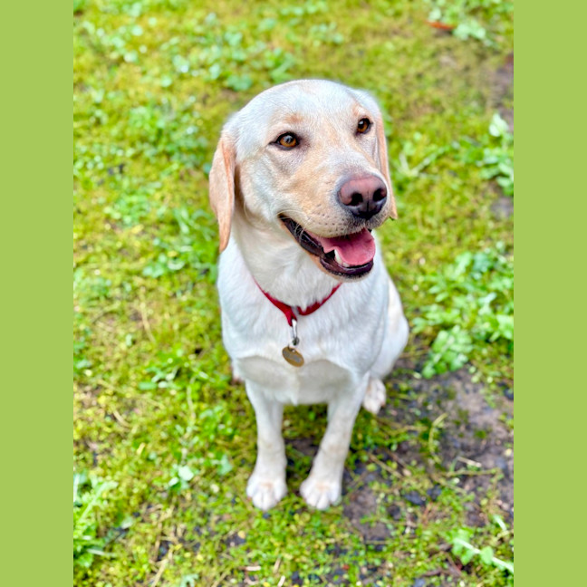 Photo of Penny