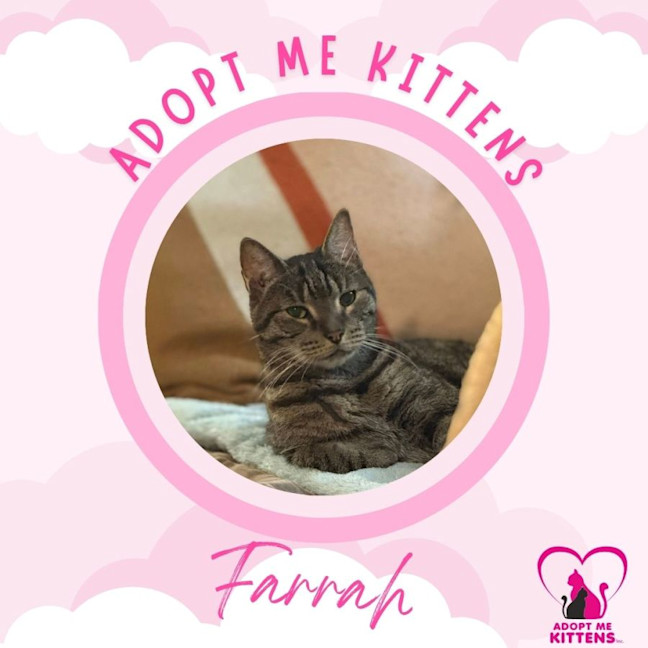 Photo of Farrah