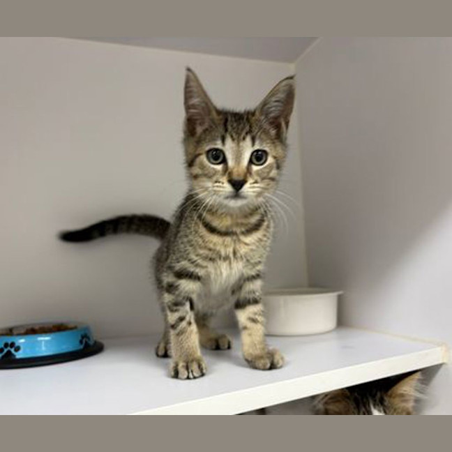 Photo of Zoe