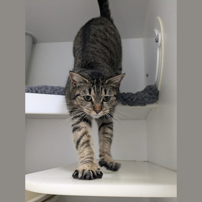 Photo of 🍇 Luna 5421 🍇