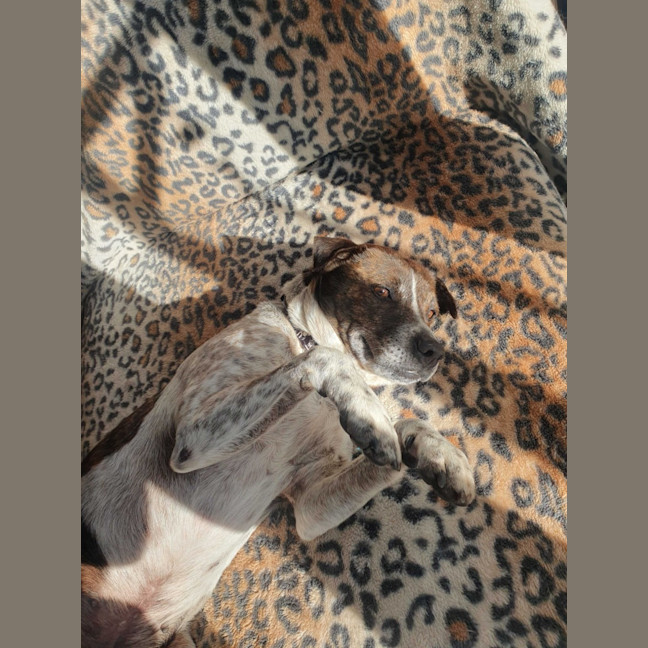 Photo of Pat In The Hat