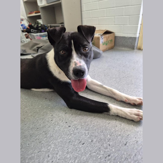 Photo of Kenny! 🤍🖤