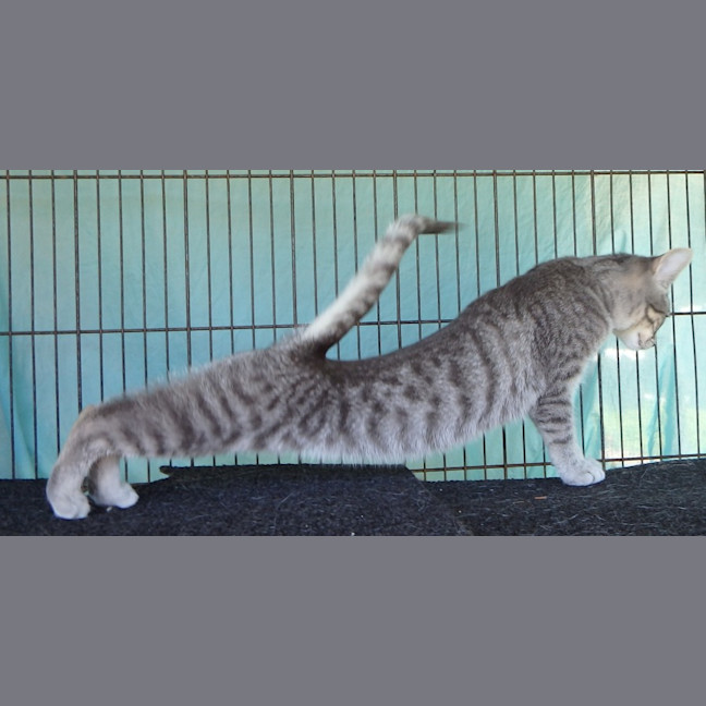 Photo of Brooke And Bruce