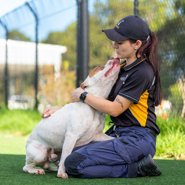 Photo of Cheezel Imp 2596