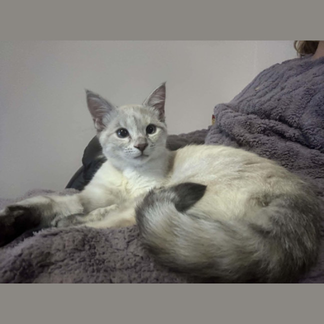 Photo of Rowena