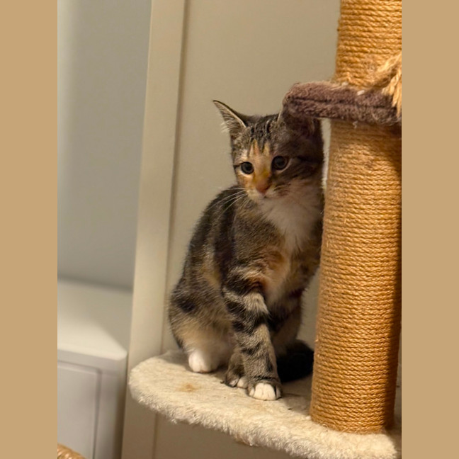 Photo of Cleo