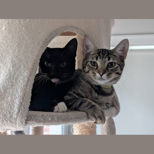 Photo of Millie & Zoe