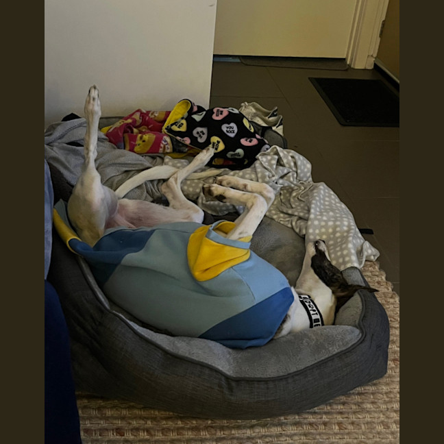 Photo of Betty