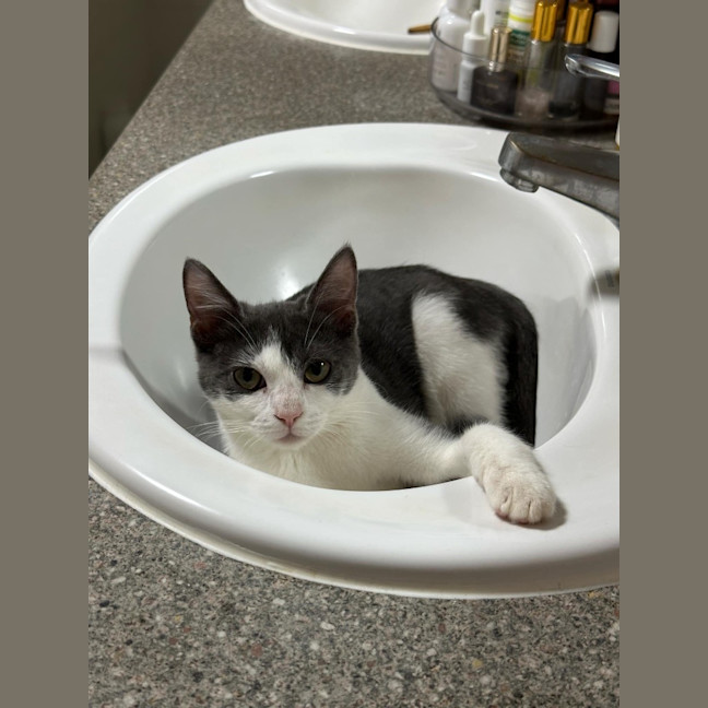 Photo of Billie Jean