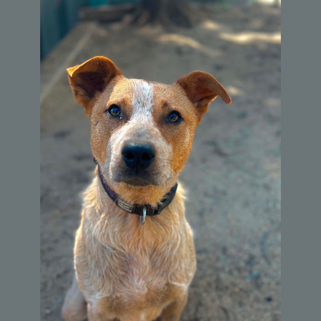 Photo of Bingo 