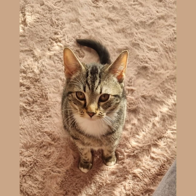 Photo of Suki