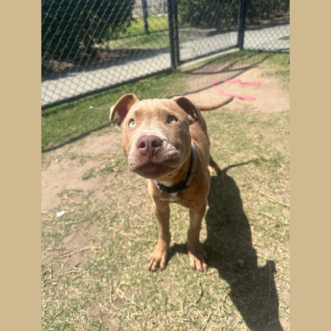 Photo of Zeus