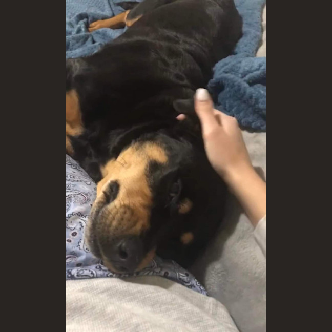 Photo of Lilly