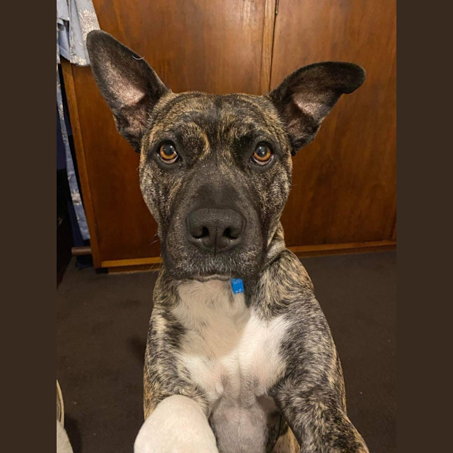 Photo of Lola