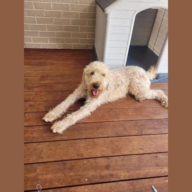 Photo of Marshall Uffelman