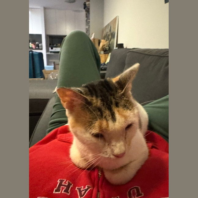 Photo of Lexi