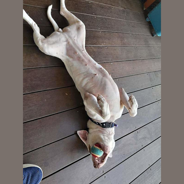 Photo of Merci