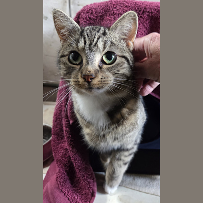 Photo of Jilly