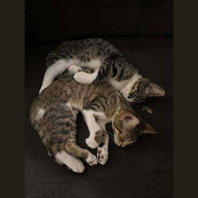 Photo of Miley & Robbie 