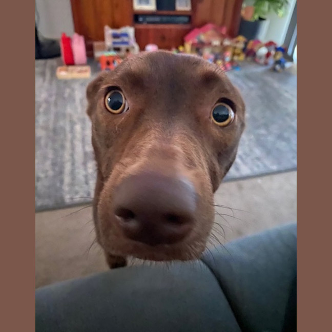 Photo of Pippa