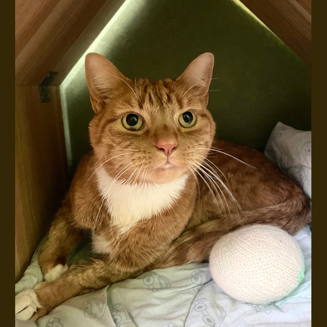 Photo of Charlie