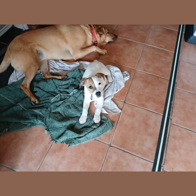 Photo of Spud