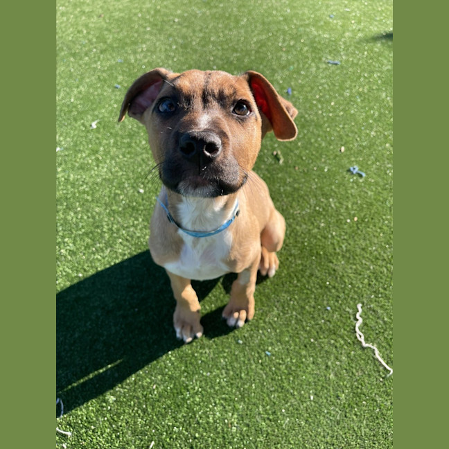 Photo of Cloud Imp 1722