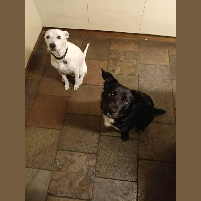 Photo of Augustus May Who