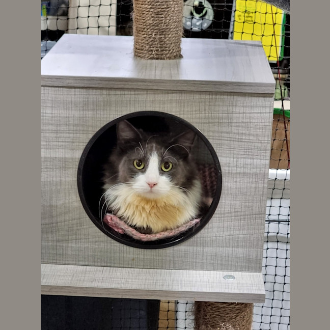 Photo of Nellie
