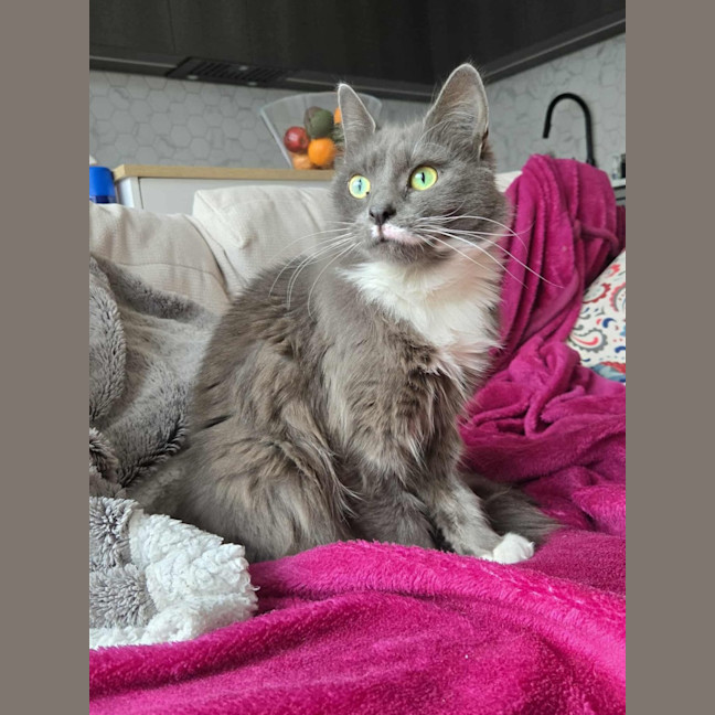 Photo of Evie & Charlotte 