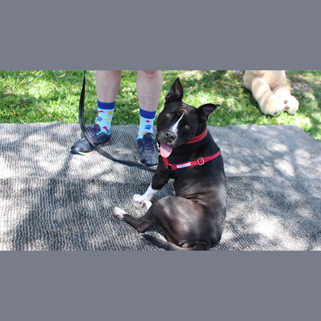 Photo of Abby