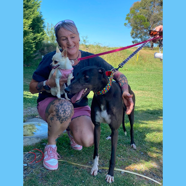 Photo of Secrets, The Greyhound 