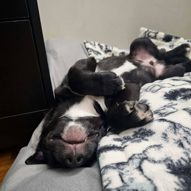 Photo of Cash