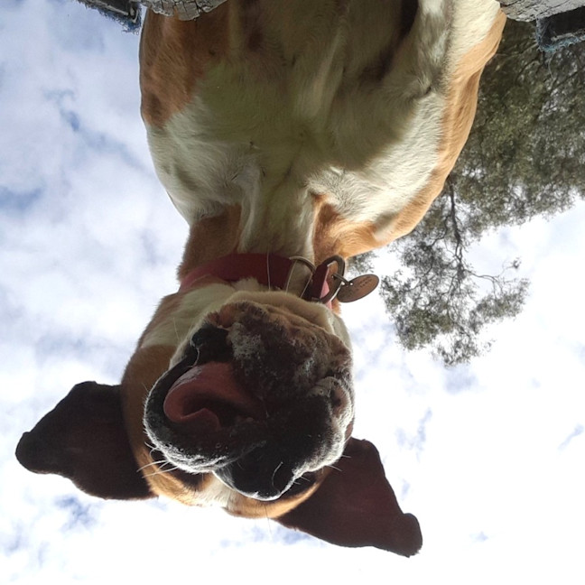 Photo of Ralph
