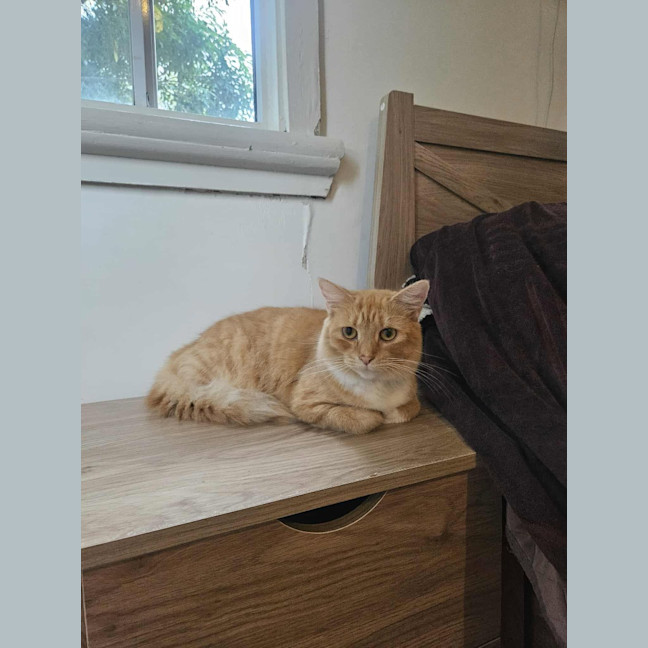 Photo of Sammy