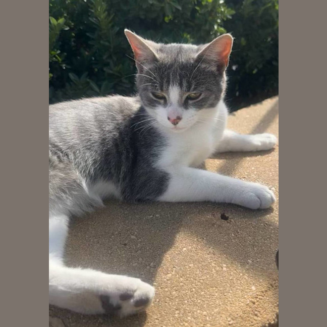 Photo of Sylvie 🌷