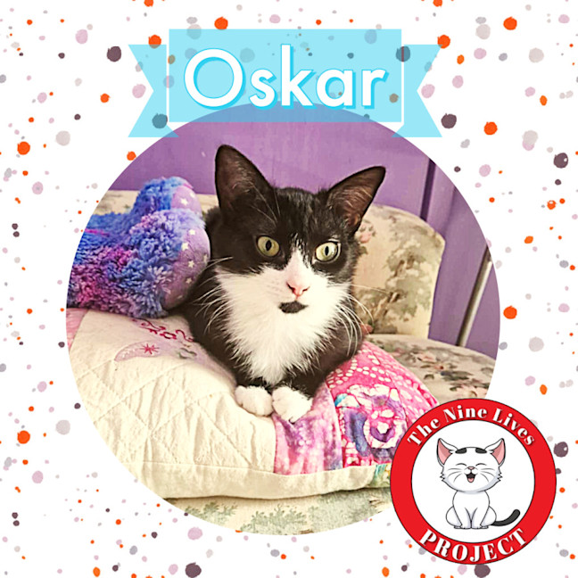 Photo of Nora & Oskar *9 Lives Project Rescue*