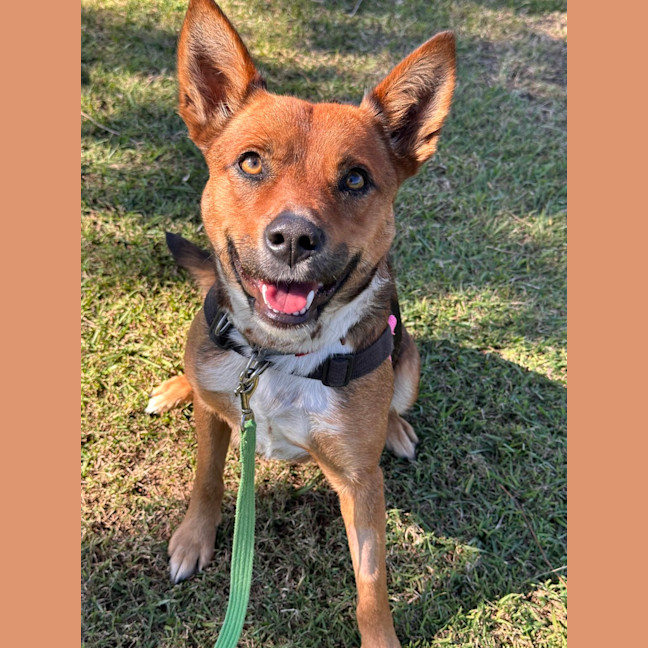 Photo of Lily