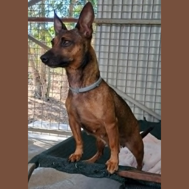 Photo of Princess