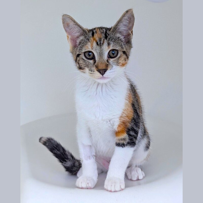 Photo of Gizelle