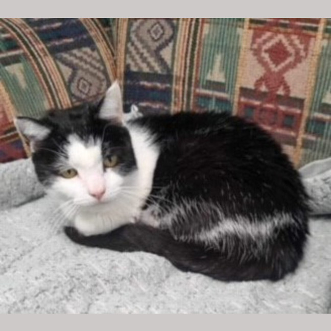 Photo of Gnocchi, Old But Sweet