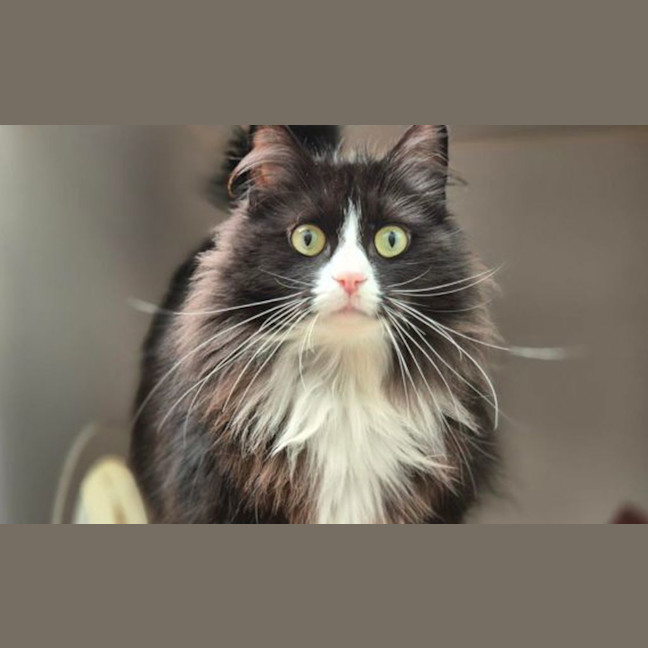 Photo of Milky