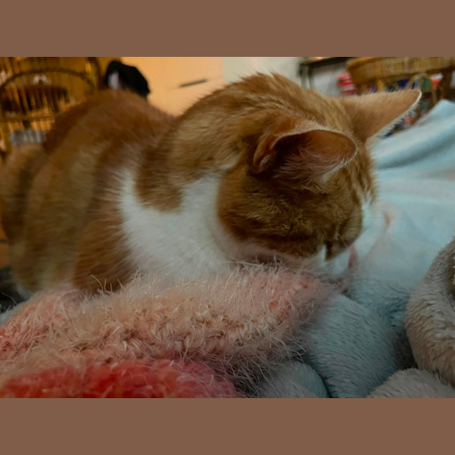 Photo of Bubbles