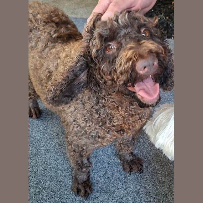 Photo of Mabel