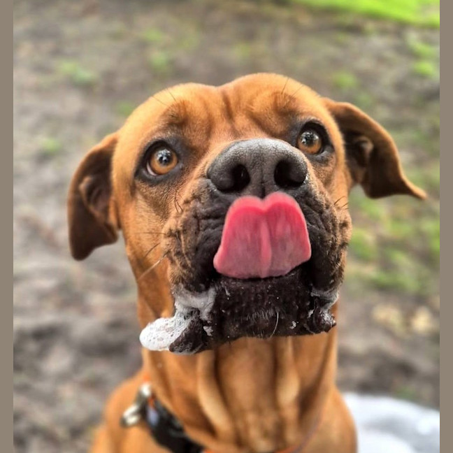 Photo of Zuri