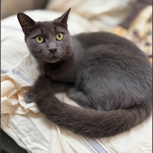 Photo of Luen (9019)