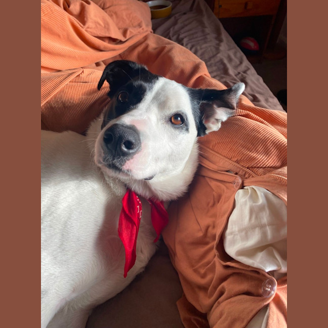 Photo of Sadie