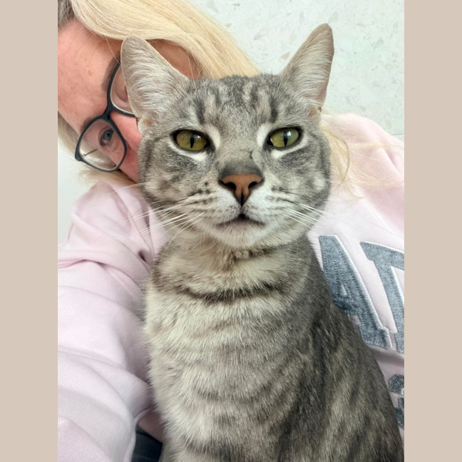 Photo of Milo 