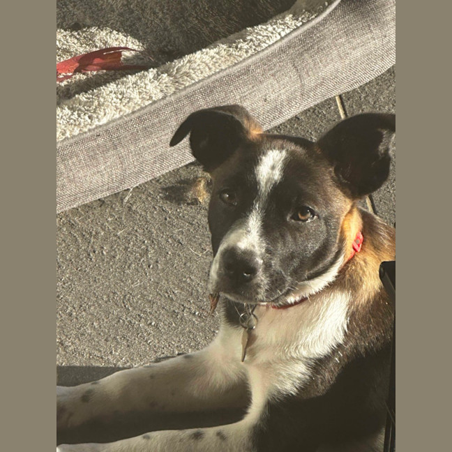 Photo of Cash
