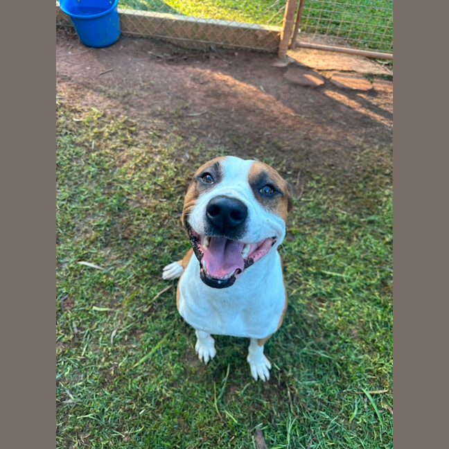 Photo of Charlie